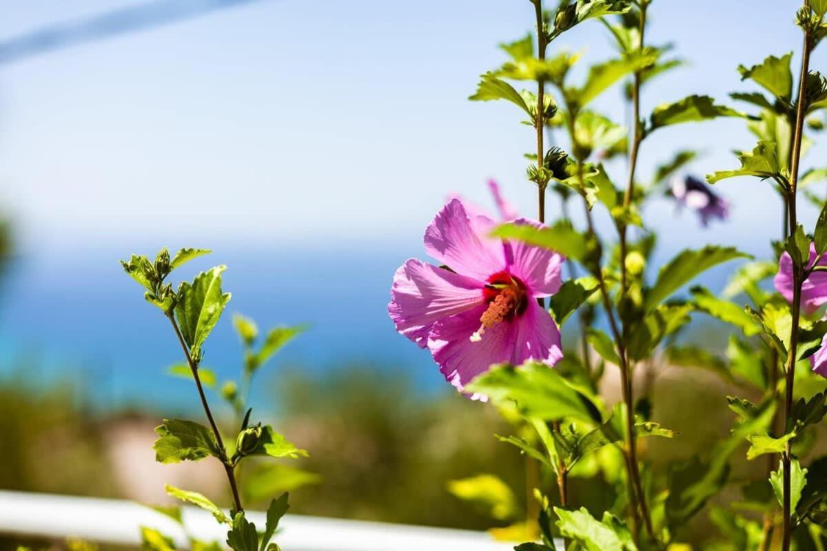 Aigli Fully Equipped Getaway - Seaview Lux Retreat Villa Kalamata Exterior foto